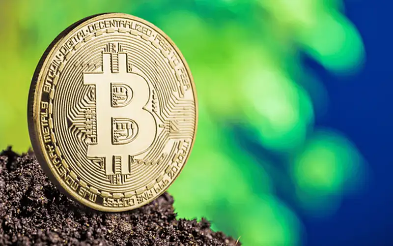 冷钱包存储技术解析：私钥离线安全之道
